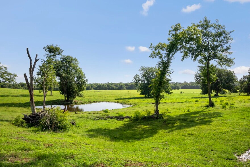 18121 TX-105, Plantersville, TX à vendre - Photo du bâtiment - Image 3 de 28
