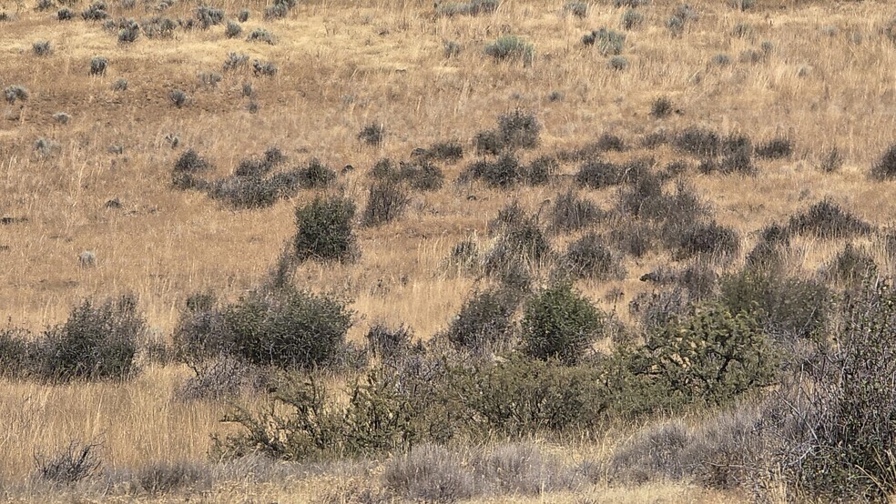 lot 400 Uhrmann Rd Rd, Klamath Falls, OR for sale - Building Photo - Image 3 of 10