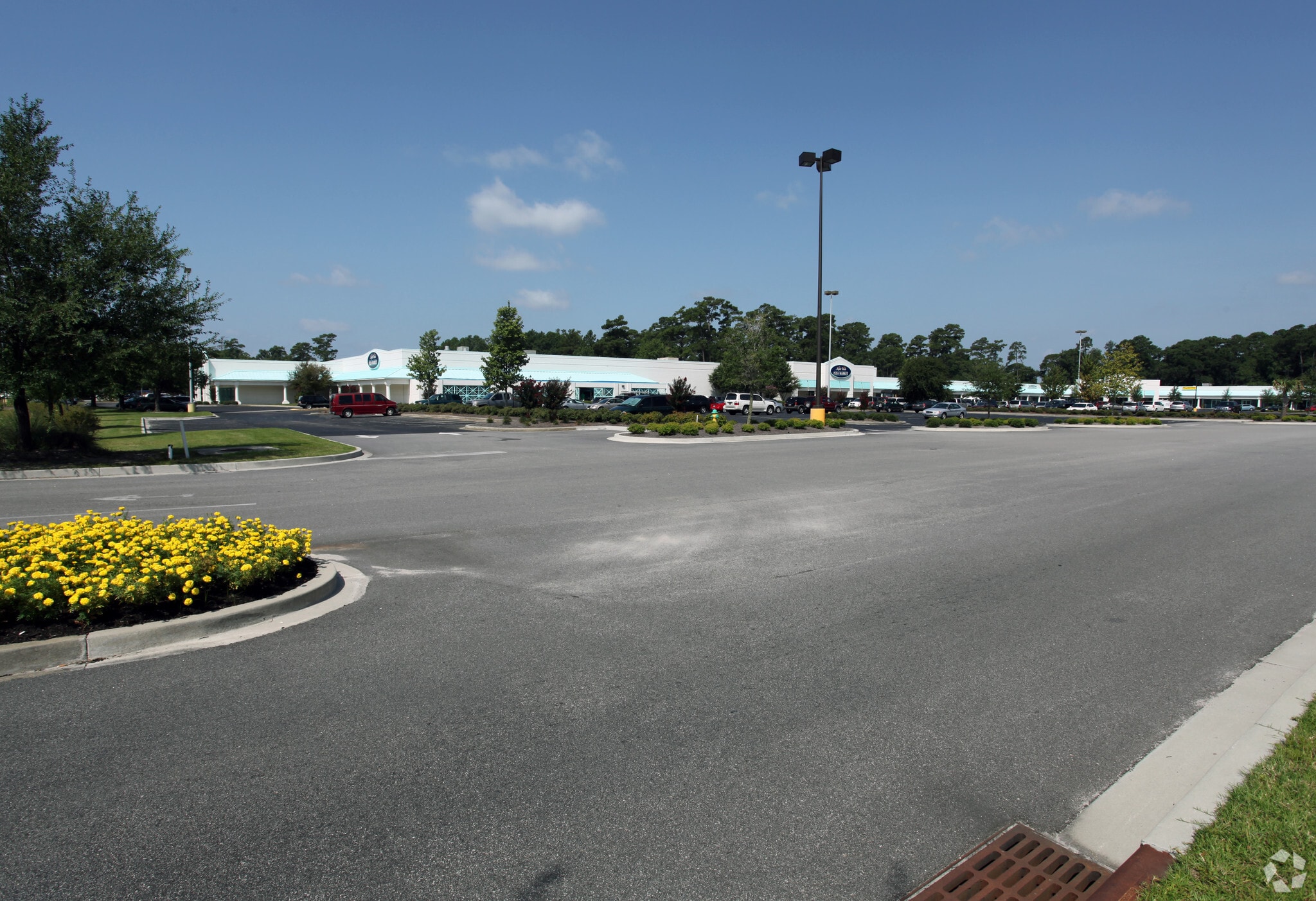 3890 S Kings Hwy, Myrtle Beach, SC for lease Primary Photo- Image 1 of 6