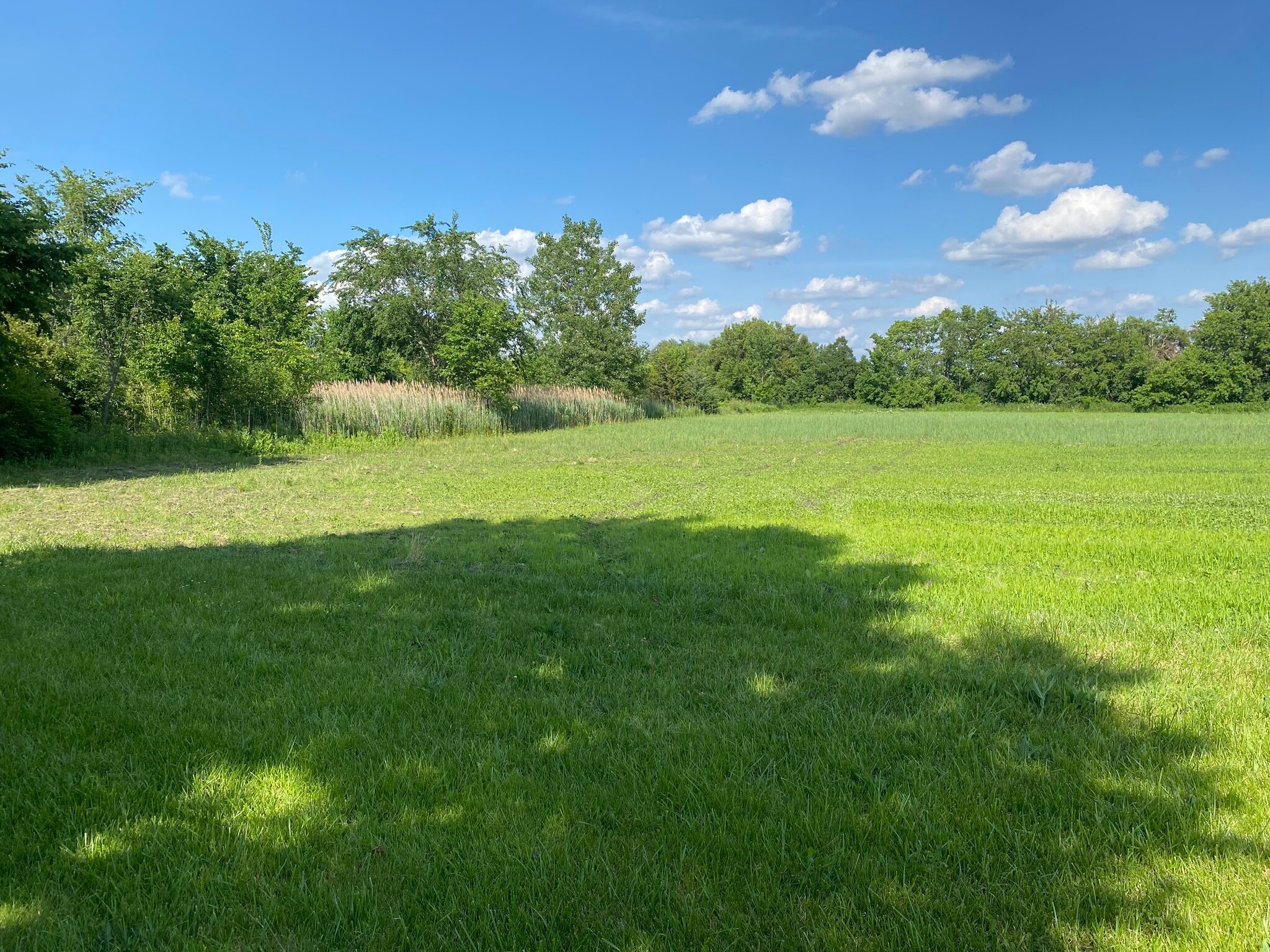 2510 S Chicago St, Joliet, IL for sale Primary Photo- Image 1 of 4