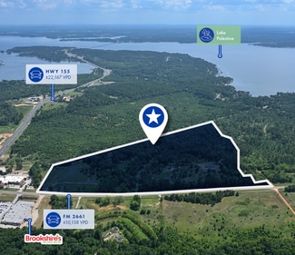 More details for 16061 County Road 1178, Flint, TX - Land for Sale