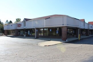 More details for 7025 E Michigan Ave, Saline, MI - Retail for Lease