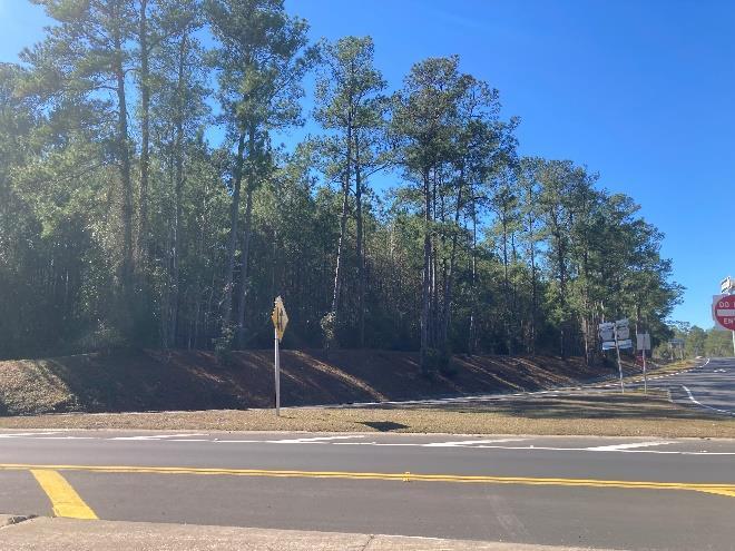 0 Reid Stafford Road East, Glen Saint Mary, FL à vendre - Photo du bâtiment - Image 2 de 11