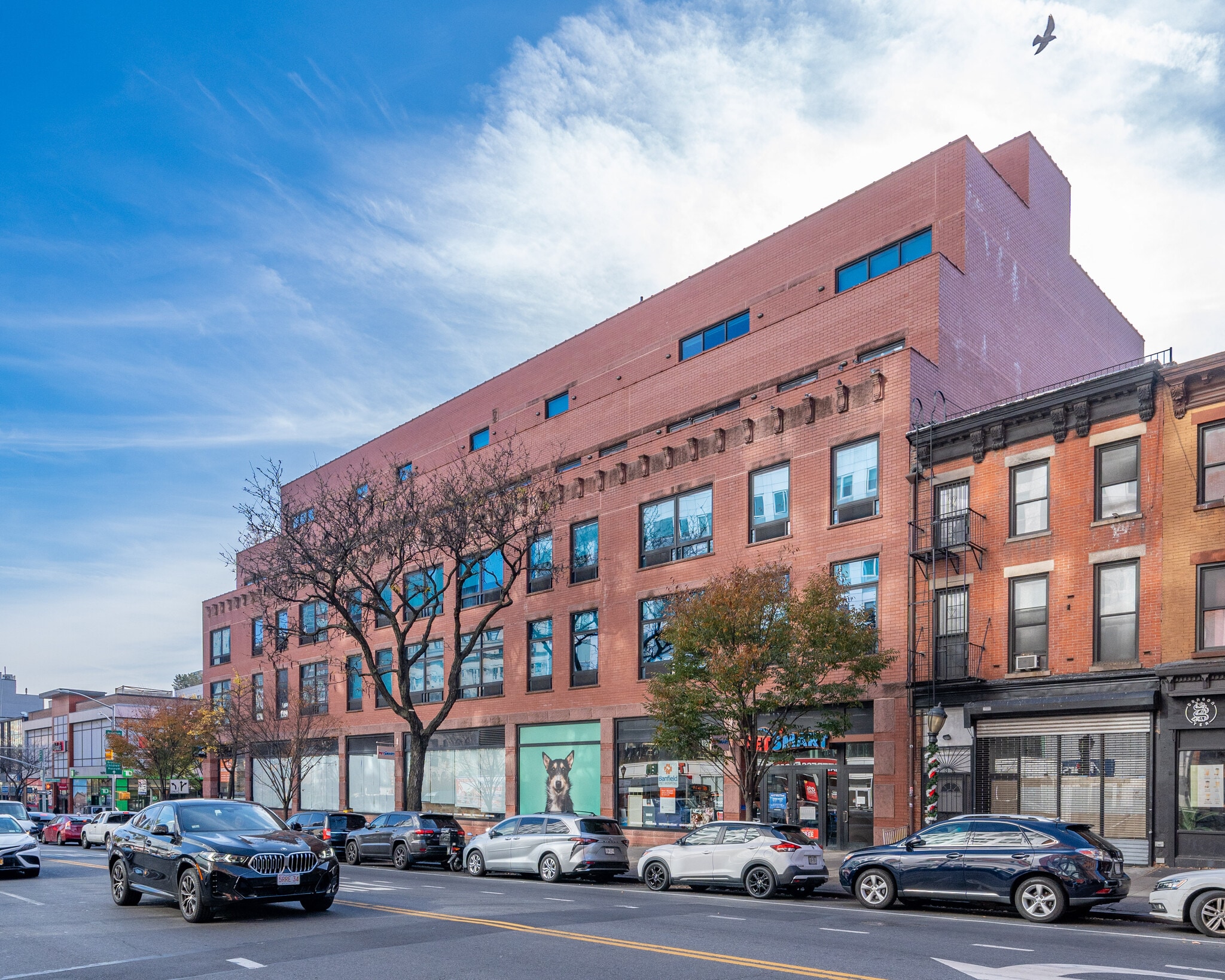 236-240 Atlantic Ave, Brooklyn, NY à louer Photo principale- Image 1 de 6