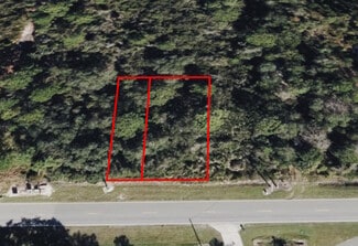 More details for 734 Osteen Maytown rd, Osteen, FL - Land for Sale