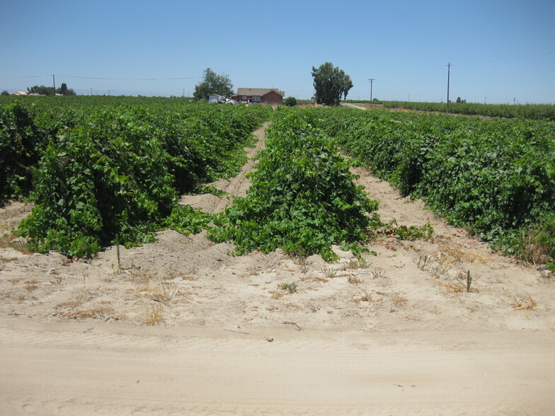 1719 W Rose Ave, Caruthers, CA for sale - Building Photo - Image 3 of 4