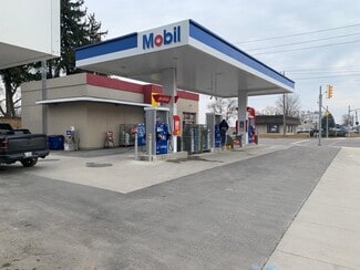 More details for 789 Murray St, Wallaceburg, ON - Retail for Sale