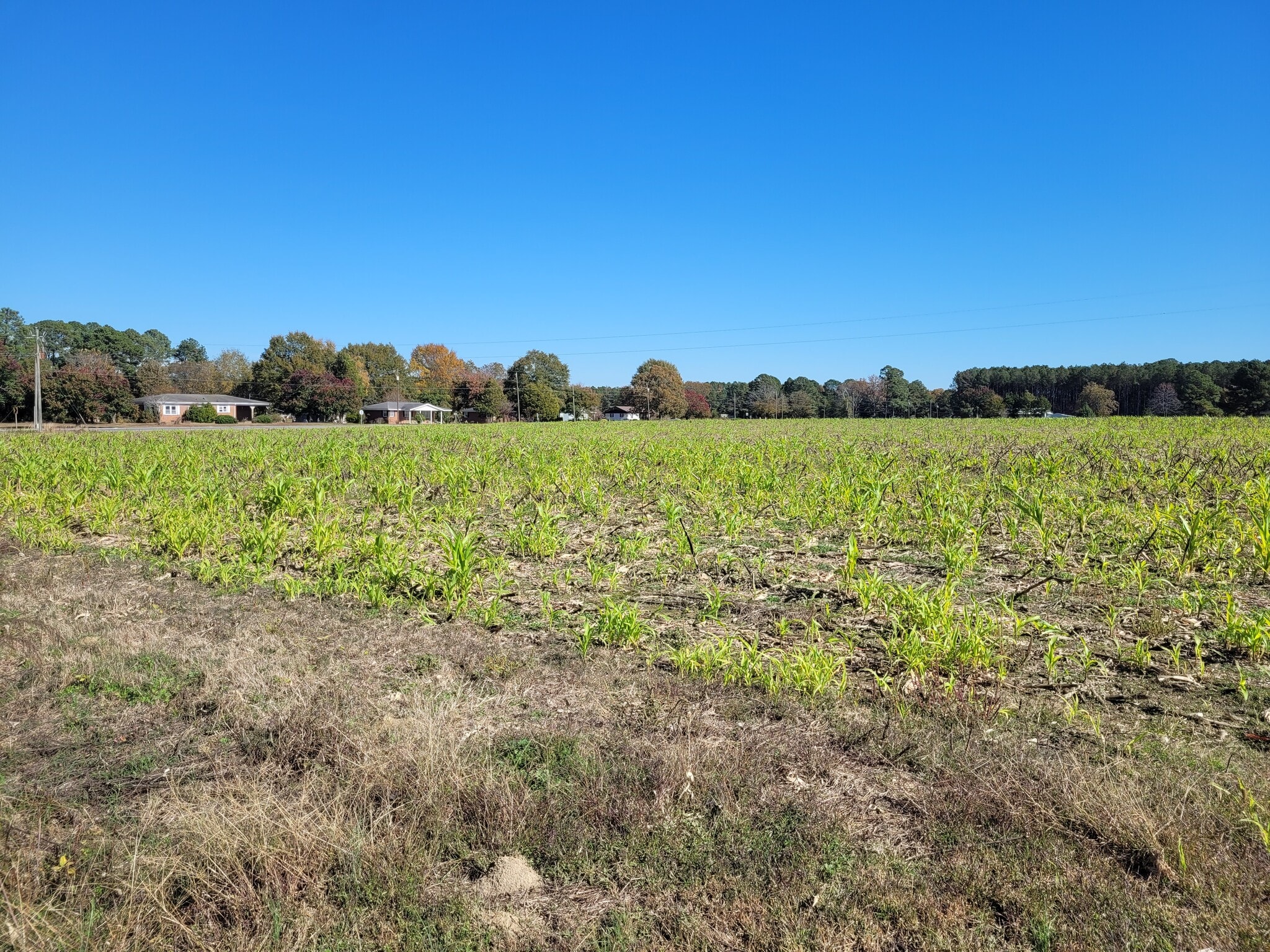 2614 Buffalo Rd, Smithfield, NC for sale Primary Photo- Image 1 of 4