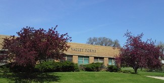 More details for 200 W Illinois St, Spring Valley, IL - Industrial for Sale