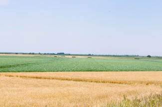 Plus de détails pour 16637 Tyler Island Rd, Isleton, CA - Terrain à vendre