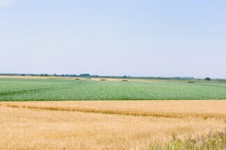 Plus de détails pour 16637 Tyler Island Rd, Isleton, CA - Terrain à vendre