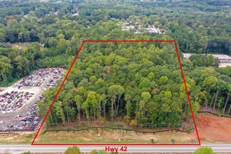 More details for State Route 42, Stockbridge, GA - Land for Sale