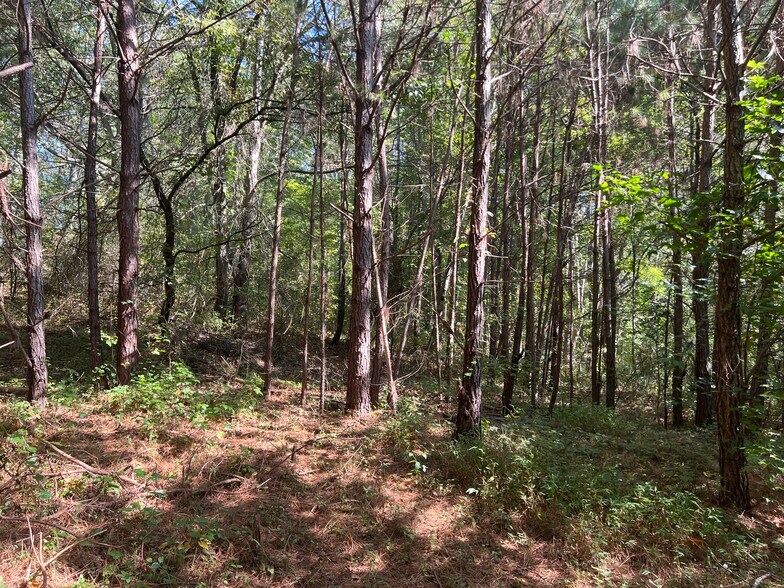 124 S Kelley St, Tallapoosa, GA à vendre - Autre - Image 2 de 9