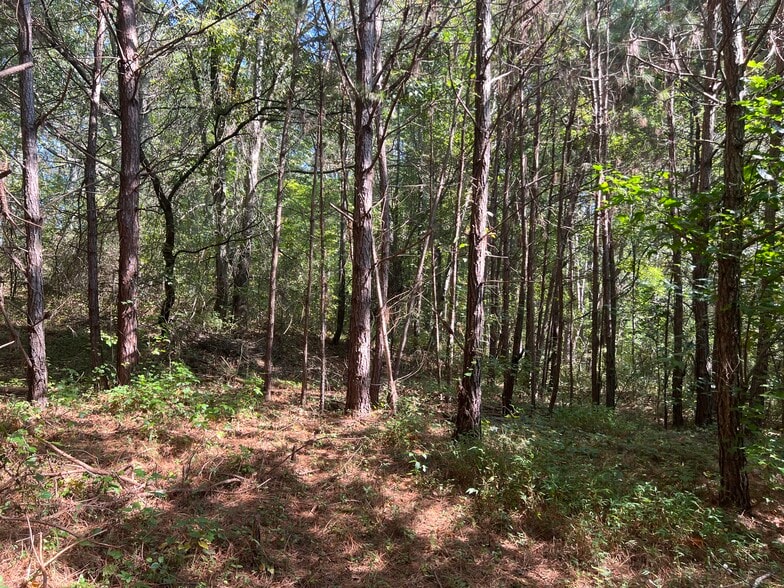 124 S Kelley St, Tallapoosa, GA for sale - Other - Image 2 of 9