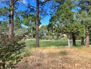 541 N Clark Rd, Show Low, AZ for lease Building Photo- Image 2 of 3