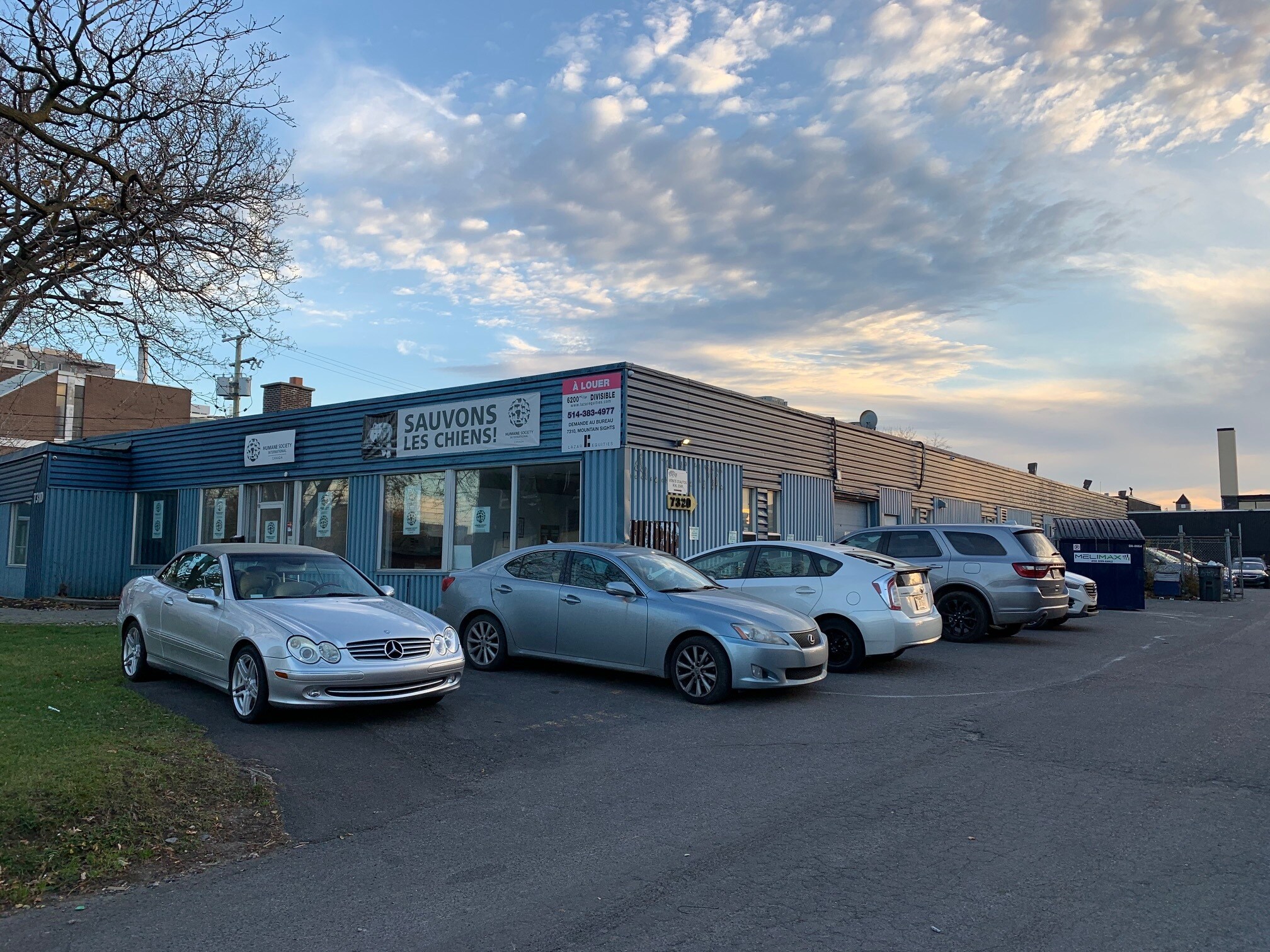 7314 Av Mountain Sights, Montréal, QC à louer Photo principale- Image 1 de 2