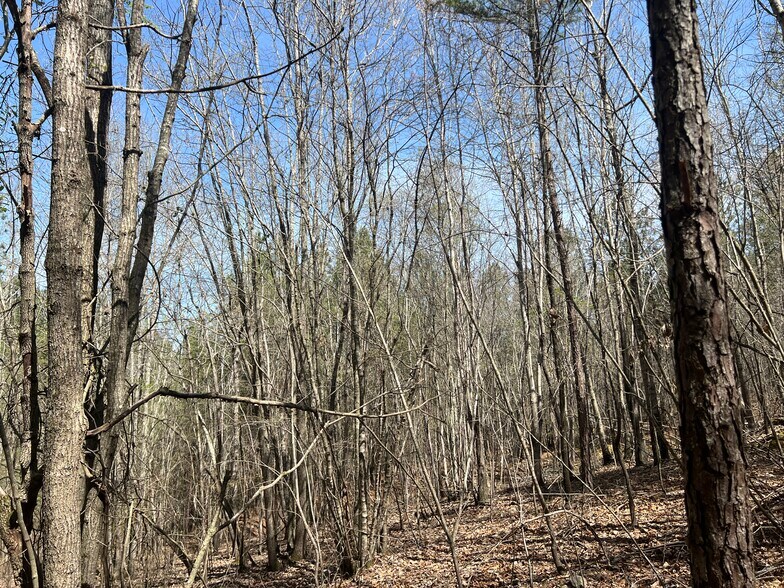 16 Unbridled Rd SE, Rome, GA for sale - Building Photo - Image 2 of 7