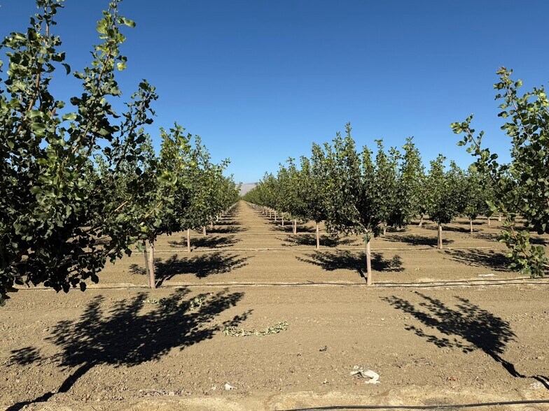 W Cole ave, Coalinga, CA à vendre - Photo du bâtiment - Image 2 de 9