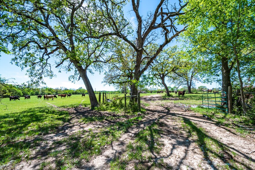 501 FM 2550, Huntsville, TX à vendre - Photo du bâtiment - Image 2 de 8