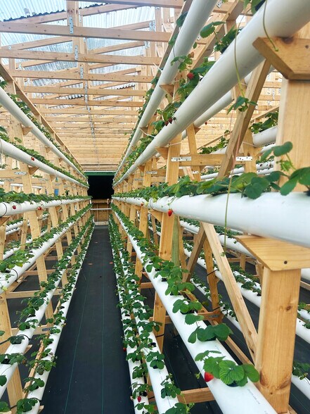 3510 Walk in Water Rd, Lake Wales, FL à vendre - Photo du bâtiment - Image 3 de 42