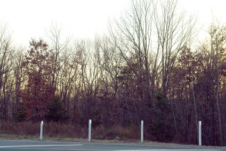 Plus de détails pour 14110 Telegraph Rd, Woodbridge, VA - Terrain à vendre