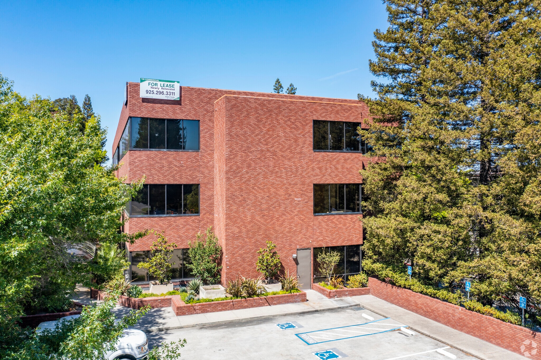1777 Oakland Blvd, Walnut Creek, CA à louer Photo principale- Image 1 de 7