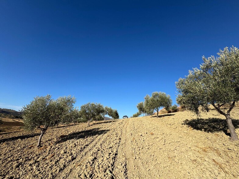 Land in Casabermeja, Málaga for sale - Aerial - Image 1 of 13