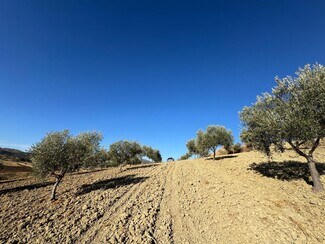 More details for Land for Sale