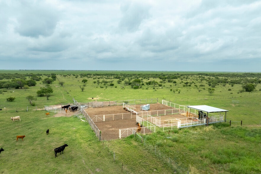 1038 FM 1360, Woodsboro, TX for sale - Building Photo - Image 3 of 29