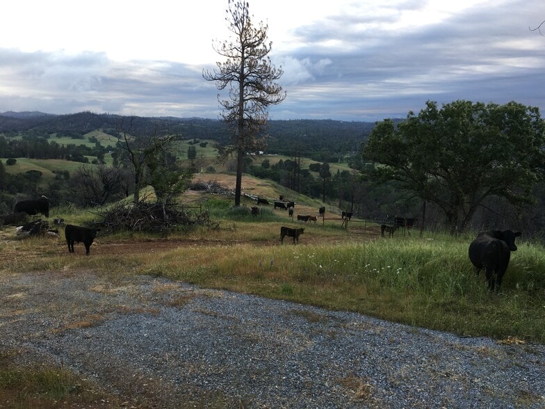 7005 Mountain Ranch Rd, Mountain Ranch, CA for sale - Building Photo - Image 2 of 23