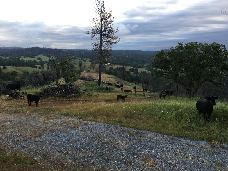 7005 Mountain Ranch Rd, Mountain Ranch, CA à vendre - Photo du bâtiment - Image 2 de 23