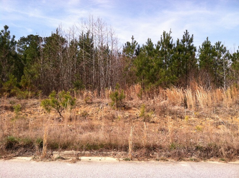 1376 Ruin Creek Rd, Henderson, NC for sale - Primary Photo - Image 1 of 5