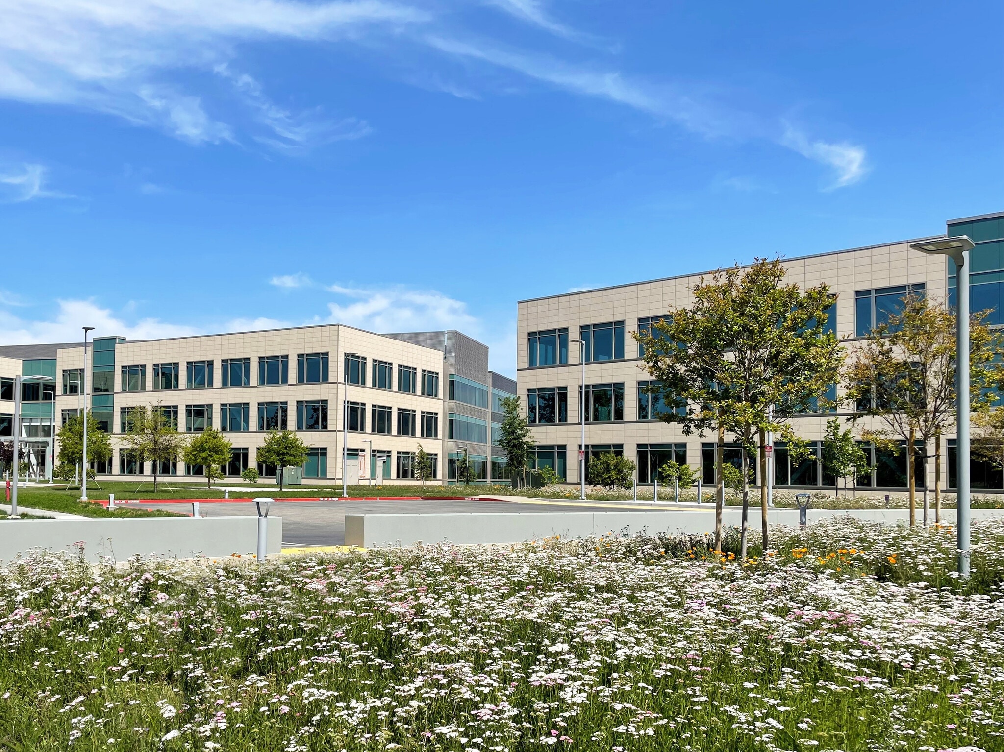 135 N McCarthy Blvd, Milpitas, CA à louer Photo du bâtiment- Image 1 de 5