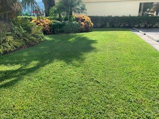 2250 Palm Beach Lakes Blvd, West Palm Beach, FL à louer - Photo du bâtiment - Image 2 de 3