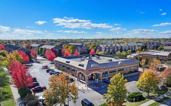 Plus de détails pour 261 W Townline Rd, Vernon Hills, IL - Commerce de détail à vendre