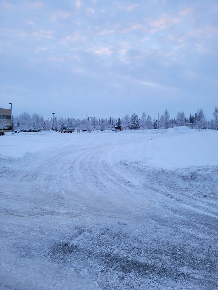 NHN Sadler Way way, Fairbanks, AK à vendre - Photo principale - Image 1 de 3