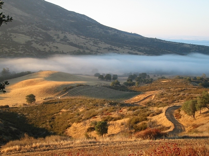 31251 Highway 146, Soledad, CA for sale - Primary Photo - Image 3 of 29