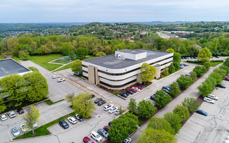 Plus de détails pour 501 Holiday Dr, Pittsburgh, PA - Bureau à louer