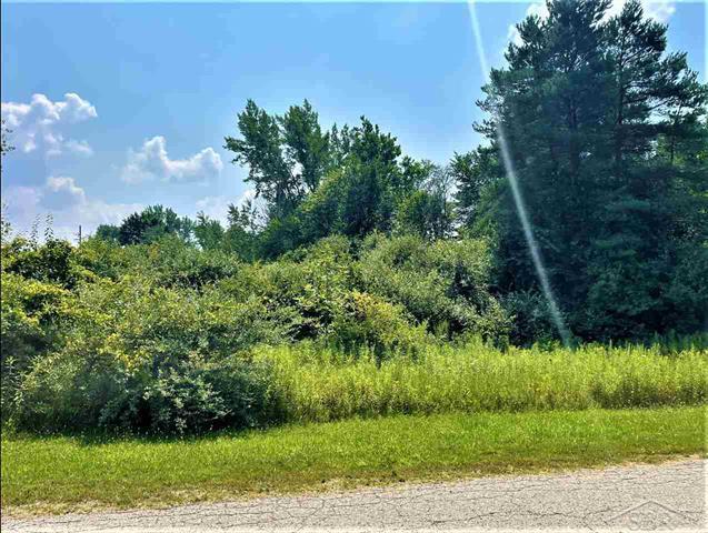 580 State Rd, Vassar, MI à vendre - Autre - Image 2 de 9