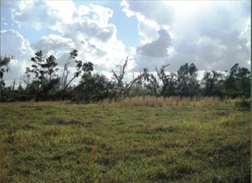 0 Ranch Lake Lane, Alturas, FL à vendre - Photo du bâtiment - Image 1 de 2