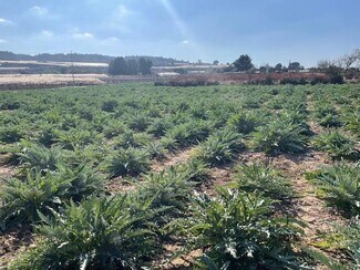 Plus de détails pour Polígono, Totana - Terrain à vendre