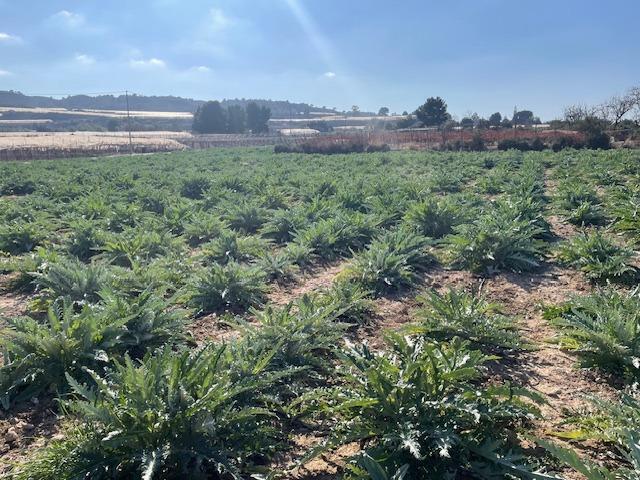 Polígono, Totana, Murcia à vendre Photo du bâtiment- Image 1 de 6