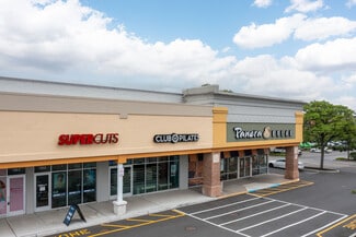 More details for 111-143 Alexander Ave, Lake Grove, NY - Retail for Lease