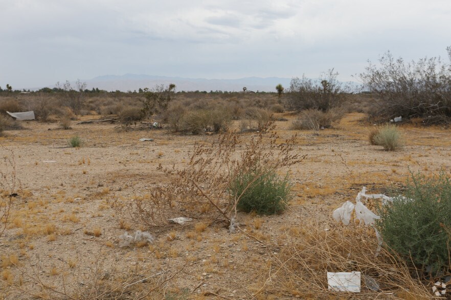 20.59-Acres Eucalyptus St, Hesperia, CA for sale - Primary Photo - Image 1 of 3