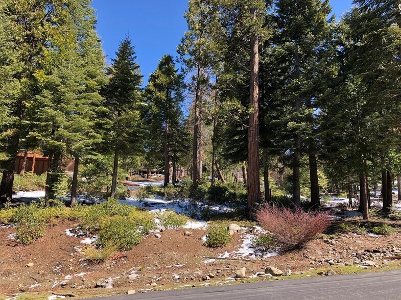 42518 Tourmaline Ln, Shaver Lake, CA à vendre - Photo du bâtiment - Image 3 de 3