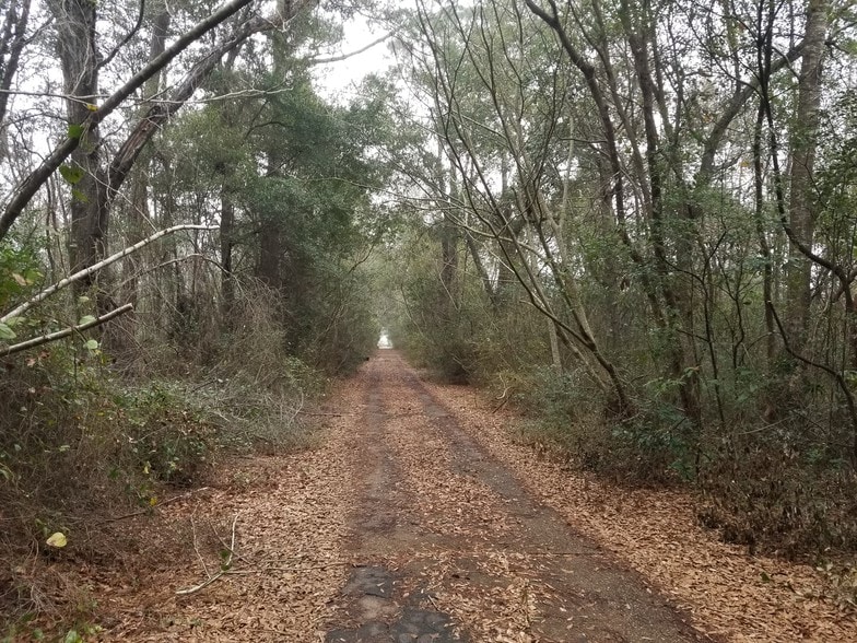 0000 Hwy 90, Milton, FL for sale - Other - Image 3 of 4