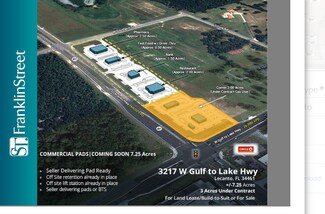 Plus de détails pour 3217 W Gulf To Lake Hwy, Lecanto, FL - Terrain à vendre