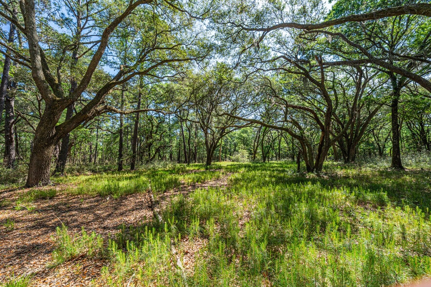 0 King Rail Lane, Edisto Island, SC for sale - Building Photo - Image 2 of 44