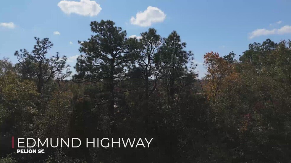 00 Edmund Hwy, Pelion, SC à vendre - Vidéo sur l’inscription commerciale - Image 2 de 14