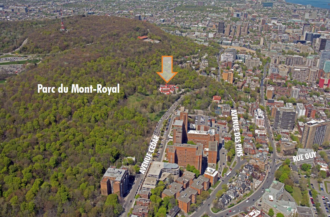 1529 Av Cedar, Montréal, QC à vendre Photo principale- Image 1 de 1